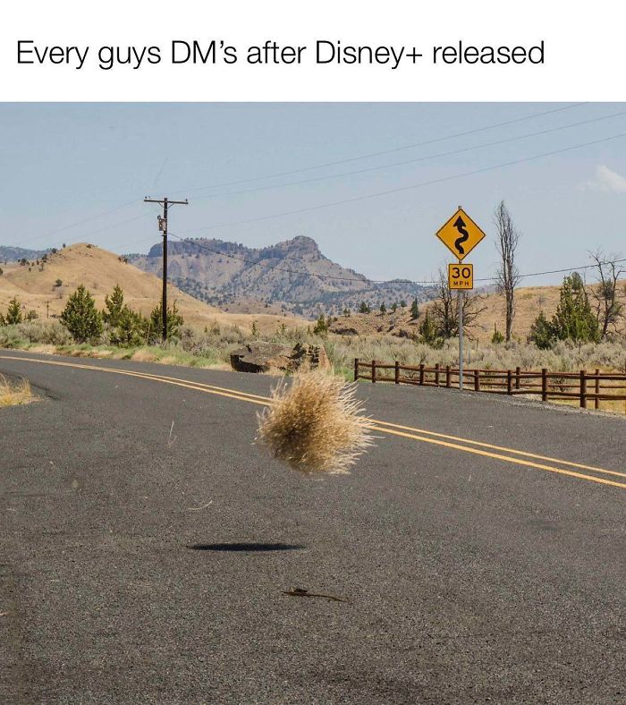 Disney-Plus-Launch-Reactions-Memes