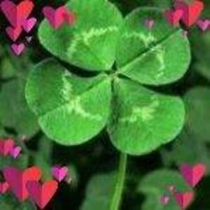 colleencsimmons avatar