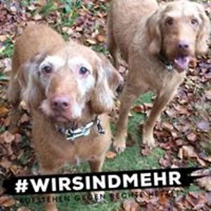 moniquesimmer avatar