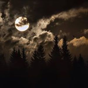 jennifersnyder032 avatar