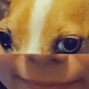 mollyhitchcock avatar