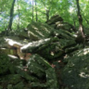 debbrzozowski avatar