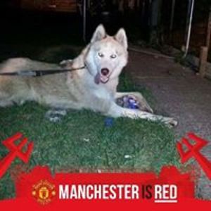 shadowman_20022002 avatar