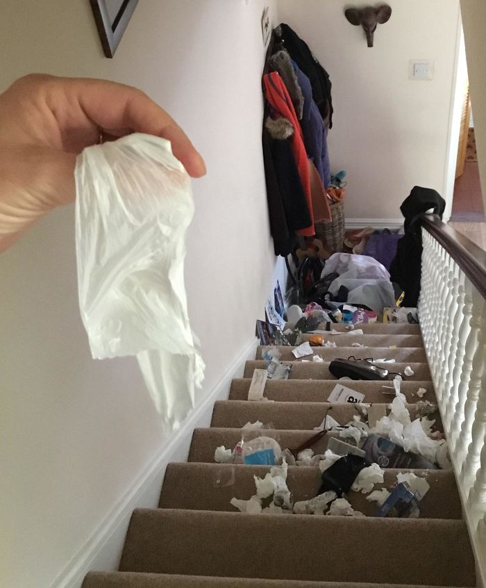 That Feeling When You Have A Good Clear Out And All You've Got To Do Is Put The Rubbish In The Bin... Well I Had That Feeling Until I Got To The Stairs And The Handle Snapped