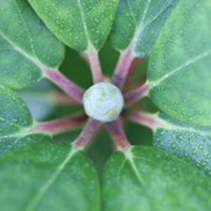 helenkarlsen3 avatar