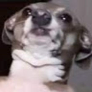 25williammullinsiv avatar