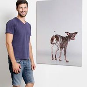 jason_krygier_baum avatar