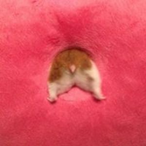 davenport50ae avatar