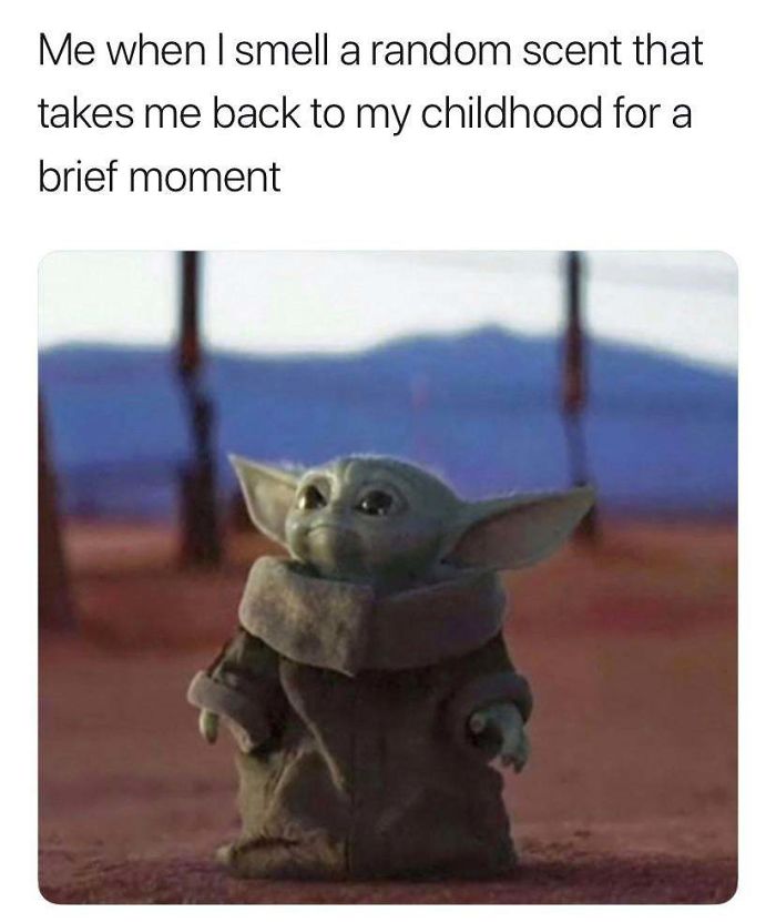 Baby-Yoda-Memes