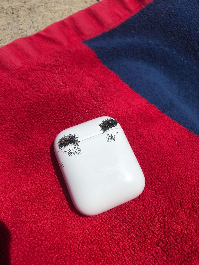 I Dropped My Headphones In The Sand And All The Iron Collected On The Magnets