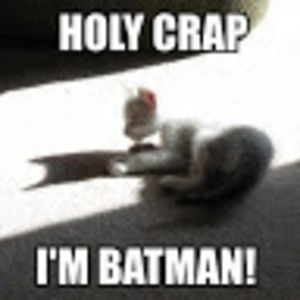 gracemarraffa avatar