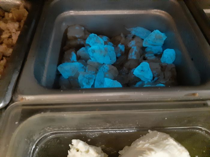 Some Of These Shrimp Are Glowing Because They Ate Bioluminescent Plankton