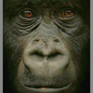 hans_buiskool avatar