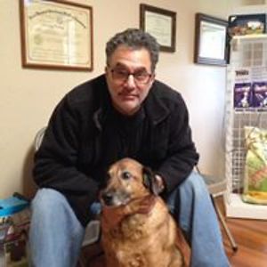 gingermaxrusty avatar