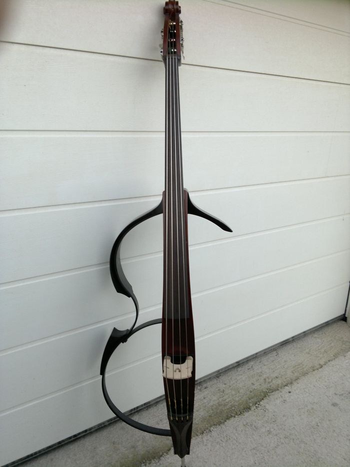 This Electric Upright Bass