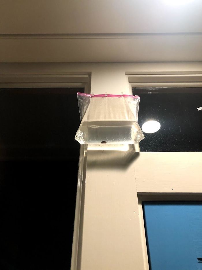 Bag Of Water With What Looks Like A Penny Nailed Above A Shop Door In California. What Is This Thing?