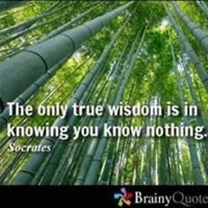 alexis_lanclos avatar