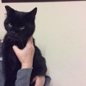 carolinehegarty63 avatar