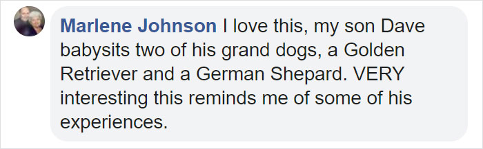 Goldie And German Shepherd In Panic After Owner 'Collapses', Have A Conversation On What To Do Next