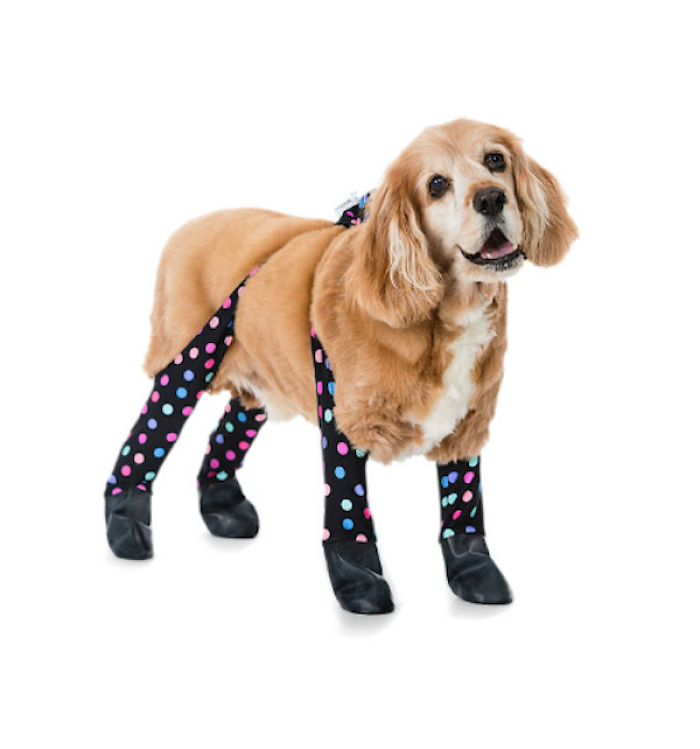 You Can Now Get Your Dog A Pair Of Leggings To Warm Their Paws You Can Now Get Your Dog A Pair Of Leggings To Warm Their Paws