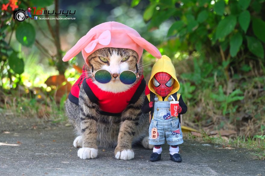See The Adventures Of A Mini Spiderman With Lovely Cats Created By A Thai Artist
