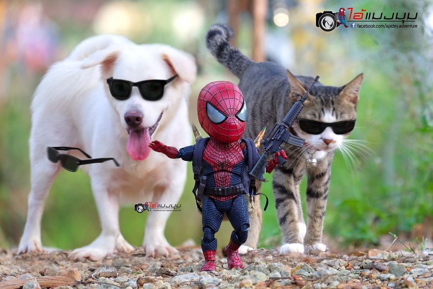 See The Adventures Of A Mini Spiderman With Lovely Cats Created By A Thai Artist