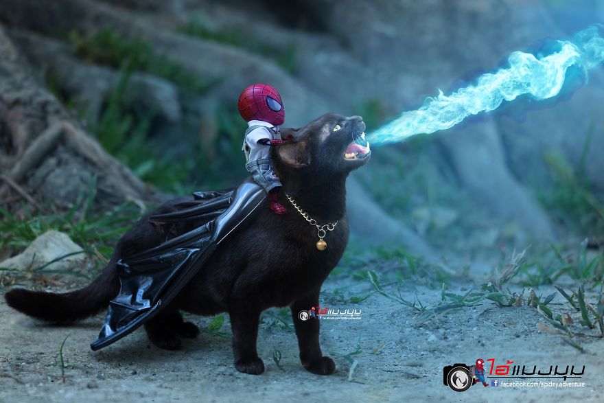 See The Adventures Of A Mini Spiderman With Lovely Cats Created By A Thai Artist