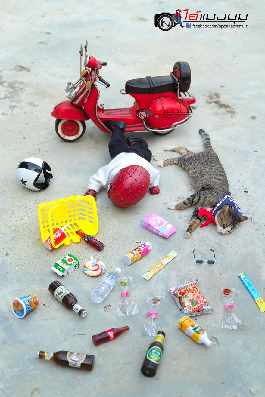See The Adventures Of A Mini Spiderman With Lovely Cats Created By A Thai Artist