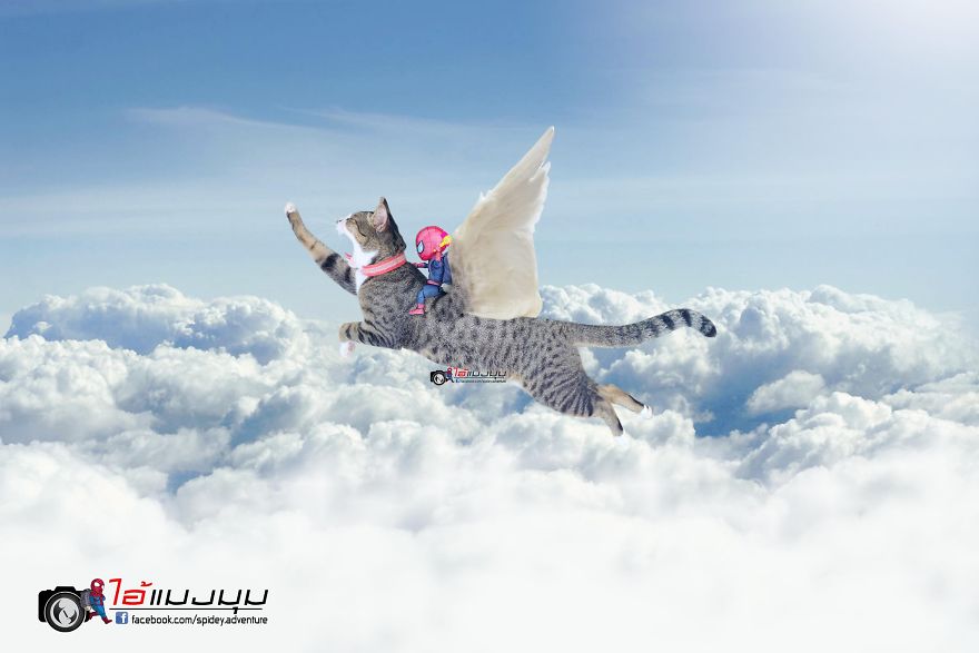 See The Adventures Of A Mini Spiderman With Lovely Cats Created By A Thai Artist