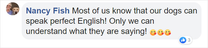 Goldie And German Shepherd In Panic After Owner 'Collapses', Have A Conversation On What To Do Next