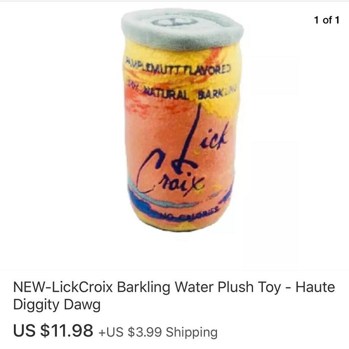 Funny-Weird-Ebay-Listings-Ebaybae