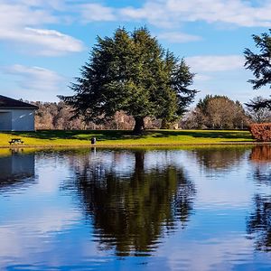 clairelouisesmith avatar