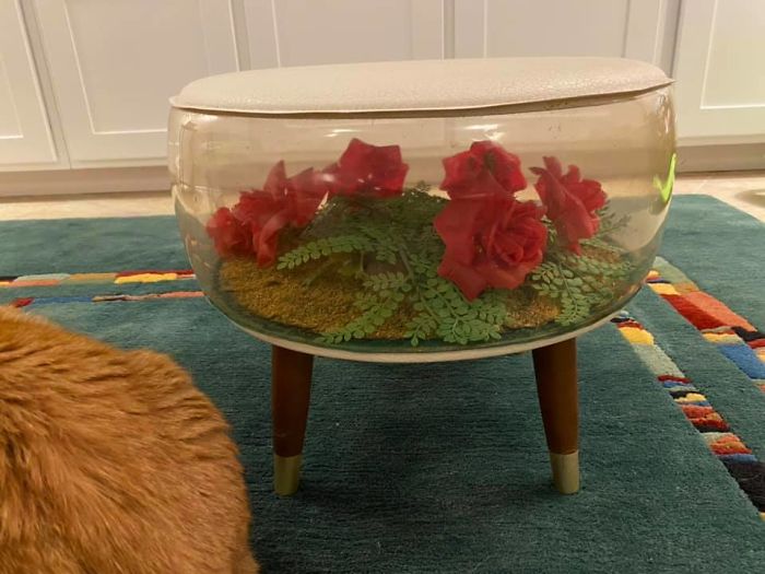 This Is One Of My Prized Possessions - An Inflatable Mid-Century Rose Ottoman. I Remember Obsessing Over Them As A Kid And I’m Still Smitten!