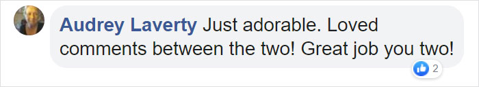 Goldie And German Shepherd In Panic After Owner 'Collapses', Have A Conversation On What To Do Next Goldie And German Shepherd In Panic After Owner 'Collapses', Have A Conversation On What To Do Next
