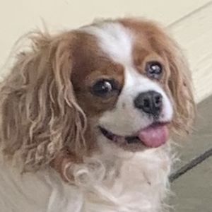 luckygirlsphone14 avatar