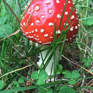 inareklameogtull avatar