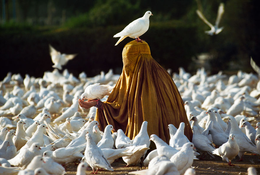 The Special Bond Between Humans And Animals Portrayed By Steve Mccurry