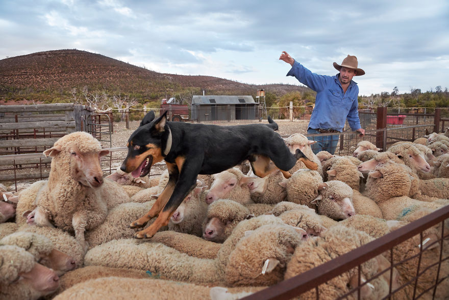The Special Bond Between Humans And Animals Portrayed By Steve Mccurry