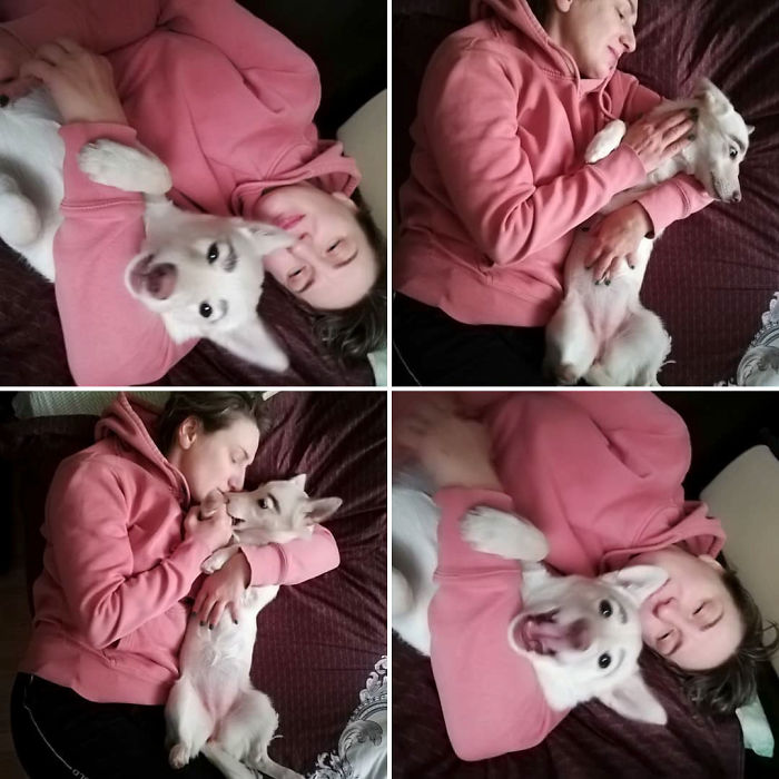 People Tried Washing This Dog's Eyebrows Off Only To Find Out They're Not Painted People Tried Washing This Dog's Eyebrows Off Only To Find Out They're Not Painted