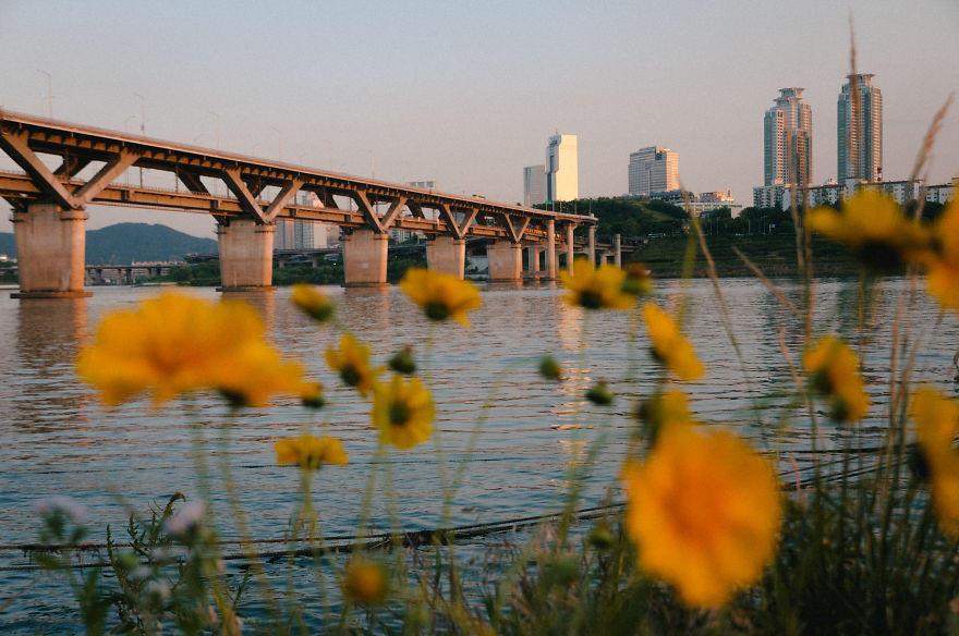 After Three Years From My First Time In Korea, I Moved To Seoul To Change My Life