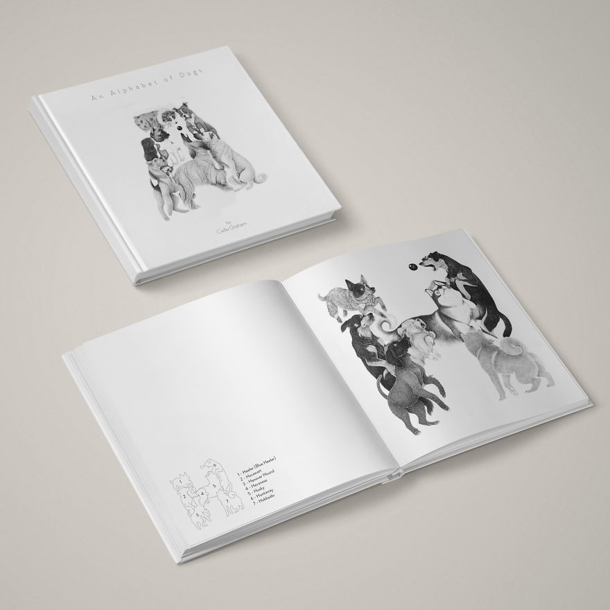 An Alphabet Of Dogs - My Illustrated Book An Alphabet Of Dogs - My Illustrated Book