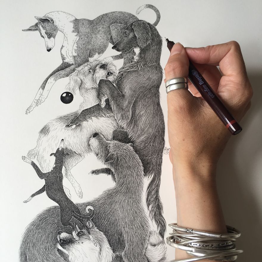 An Alphabet Of Dogs - My Illustrated Book