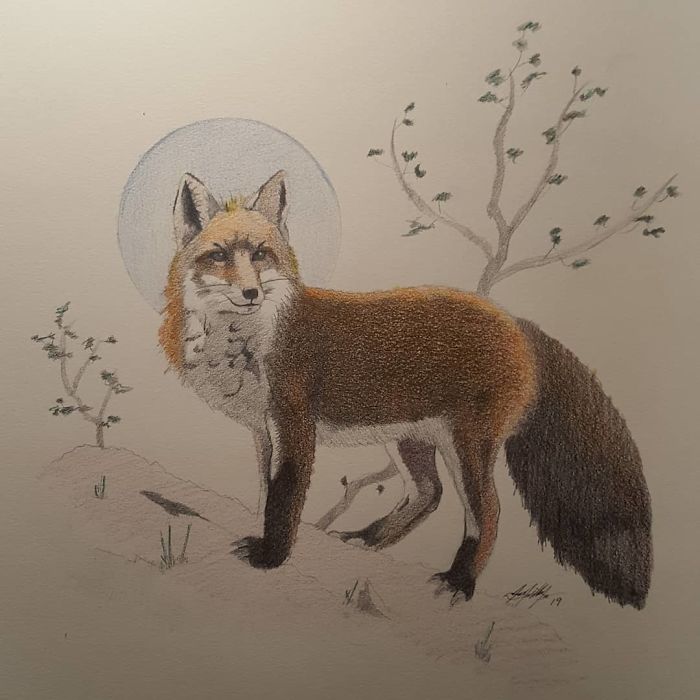 "... And When You No Longer Attach Yourself To Any Particular Outcome; Then, You Can Become Clear, And Learn To Blanket Your Heart And Put It To Bed To Be Raised Once More Whence Evasive Clarity Has Found The Other At An Unexpected Moment; And You Must Become A Fervorous Advocate For What You Know You Must Do, But Better Yet... What Will Work..." Excerpt From My Novel
graphite And Colored Pencil 11 X 14.
#illustration #charcoal #artist #guitarists #foxes #foxesofinstagram