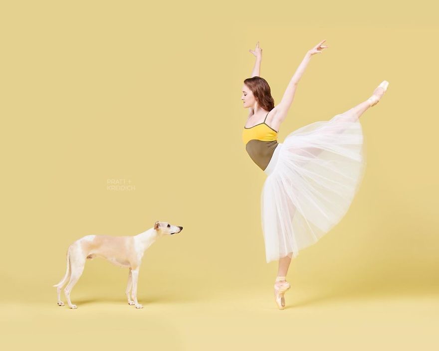 Dancers & Dogs Playfully Share The Spotlight In A New Photography Book