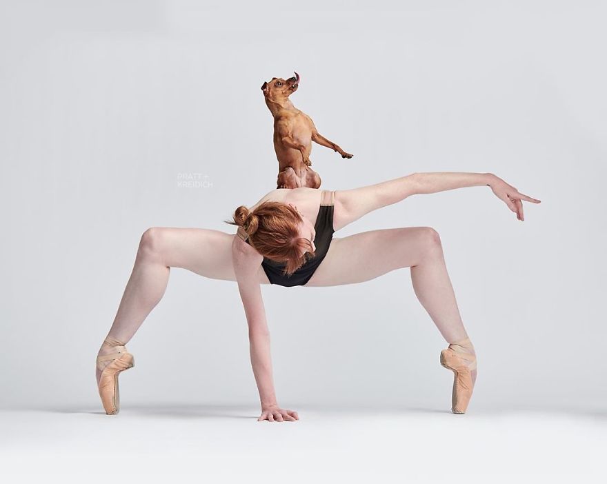 Dancers & Dogs Playfully Share The Spotlight In A New Photography Book