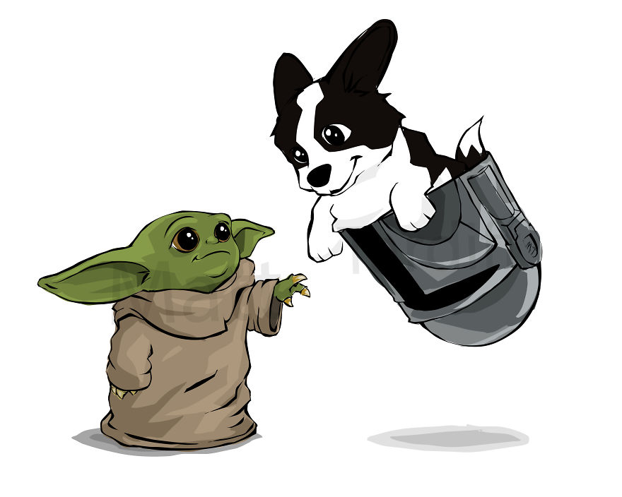 Black And White Cardigan Corgi