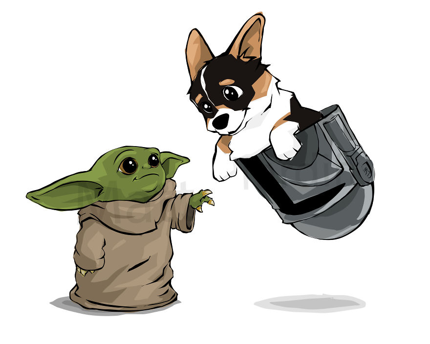 Black Head Tri Corgi