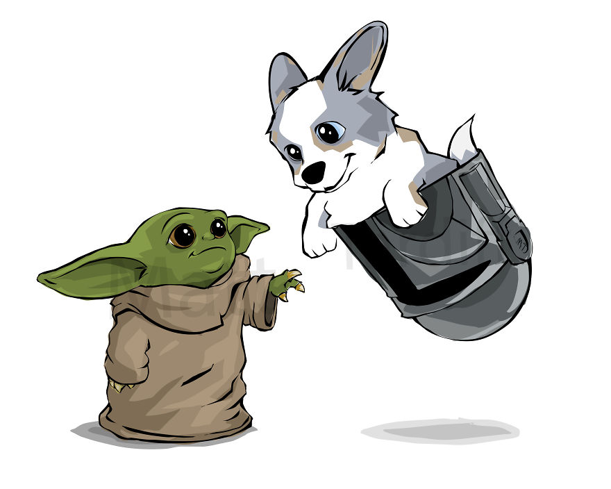 Blue Merle Cardigan Corgi