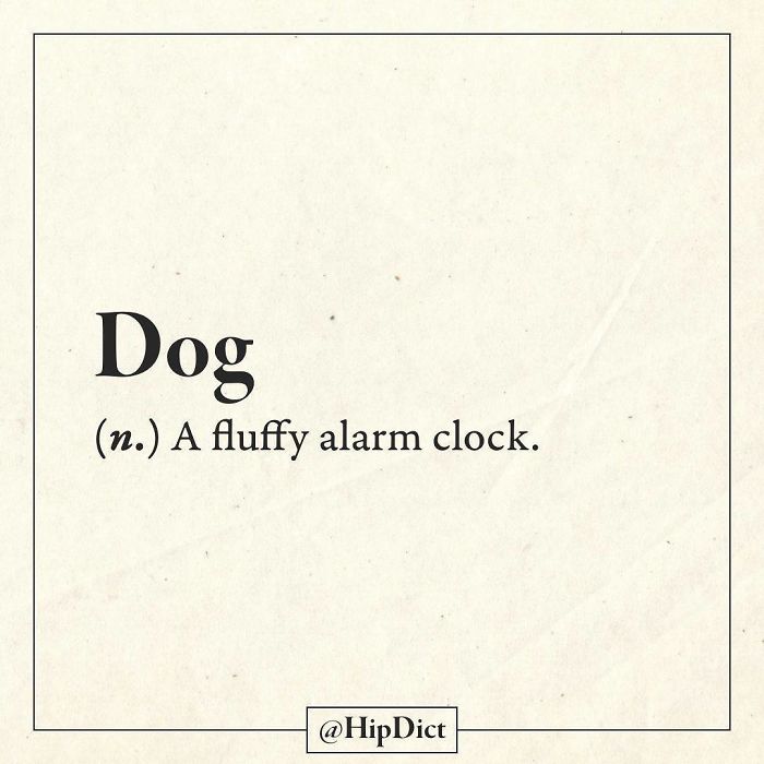 Funny-Crowdsourced-Dictionary-Meanings-Hip-Dict