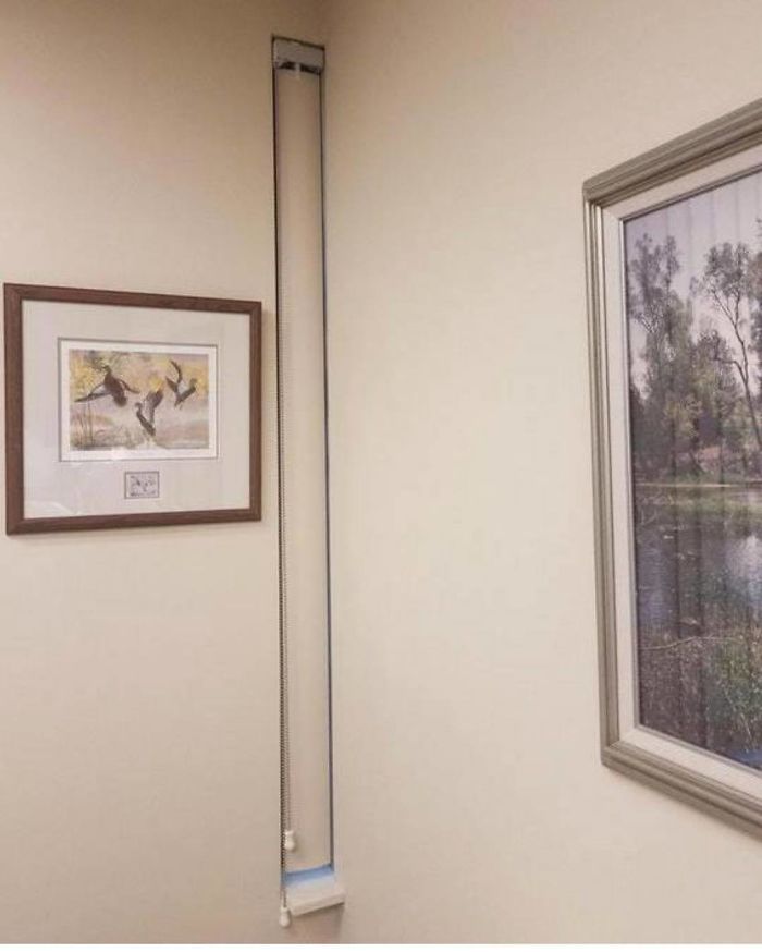 Just A Single Vertical Blind. This Is Obviously A Vampire. Who Likes Ducks